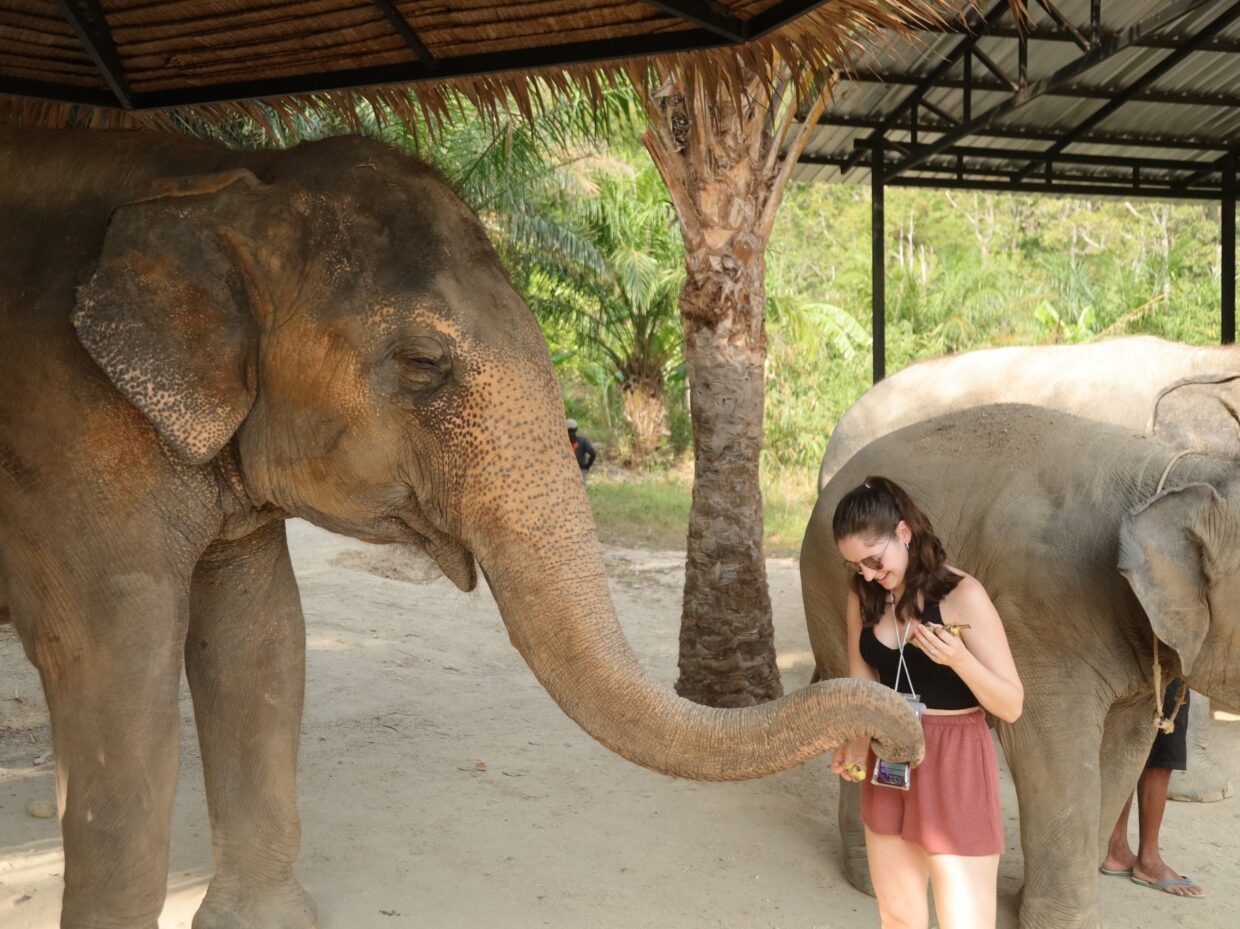 Elephant Jungle Sanctuary2